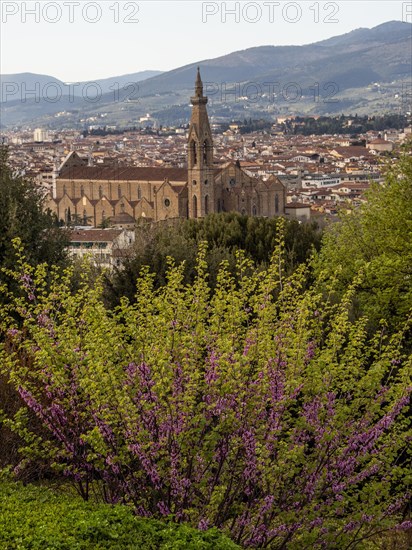 Cityscape with Basilica Santa Croce in the Old Town