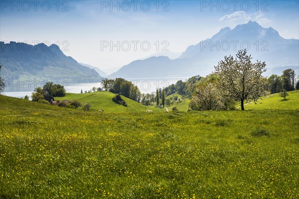 Panorama with lake and mountains