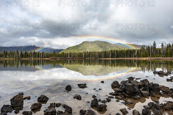 Rainbow in dark clouds over a forest