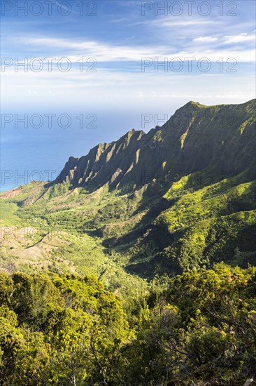 Blick vom Kalalau Lookout ins Kalalau Valley