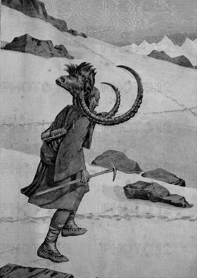 Ibex hunting