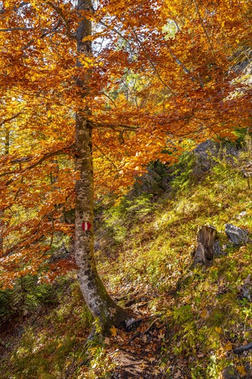 Hiking trail