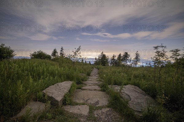 Stony path