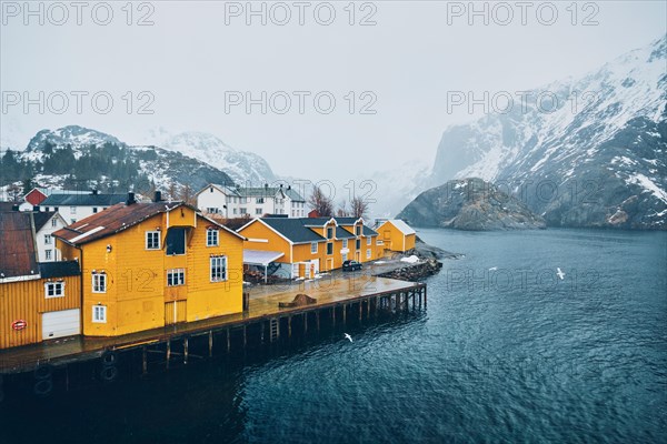 Panorama of Nusfjord authentic fishing village with yellow rorbu houses in Norwegian fjord in winter. Lofoten islands