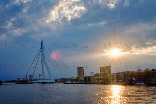 Rotterdam skyline cityscape with Erasmusbrug bridge over Nieuwe Maas in contre-jur on sunset