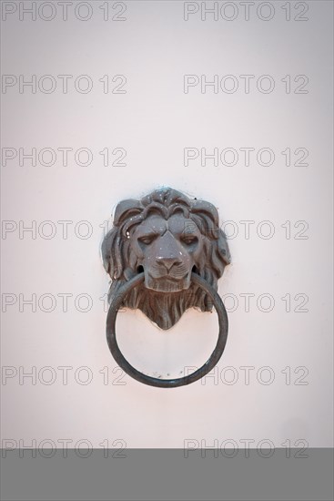 Classic lion head door knob