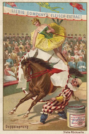 Series of horse dressage in the circus