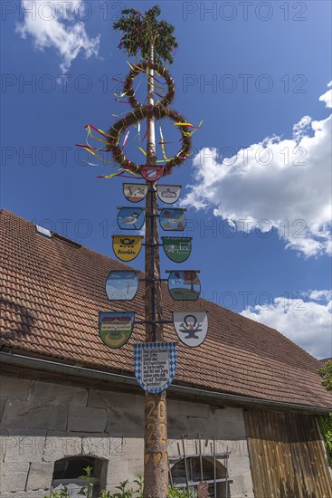 Church fair tree in Dennenlohe