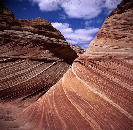 Vermilion Cliffs National Monument