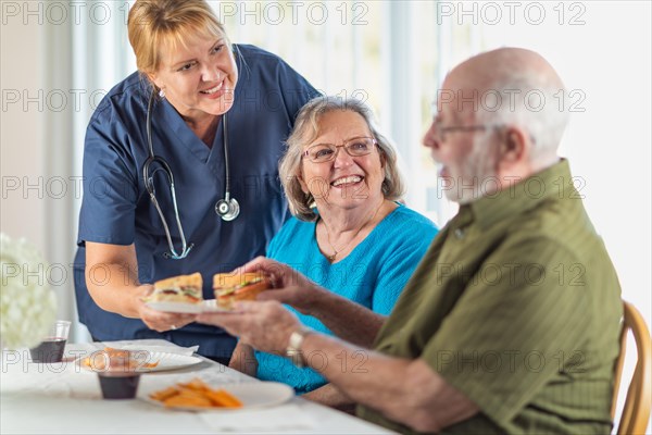 Female doctor or nurse serving senior adult couple sandwiches at table