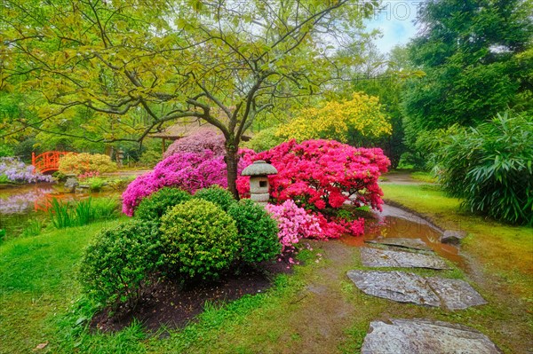 Stone lantern in Japanese garden with blooming flowers