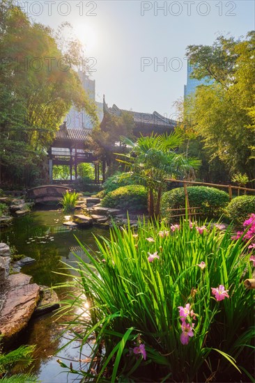 Chinese garden park in China