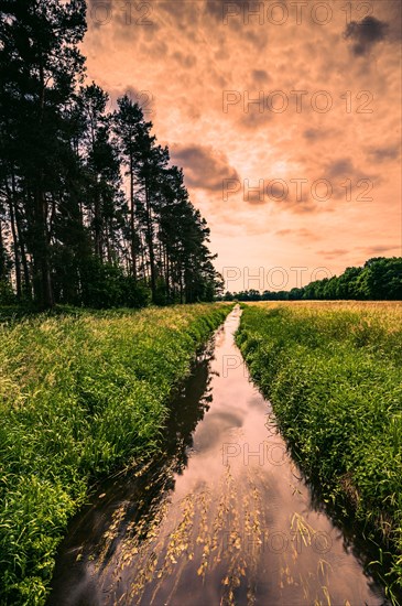 Long exposure of the river Wietze in Langenhagen in the region of Hannover