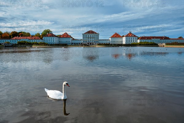 Swans in pond in front of the Nymphenburg Palace. Munich