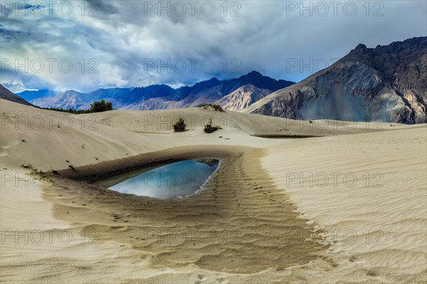 Sand dunes in Himalayan desert near Hunder village