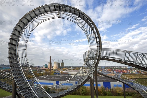 Tiger and Turtle