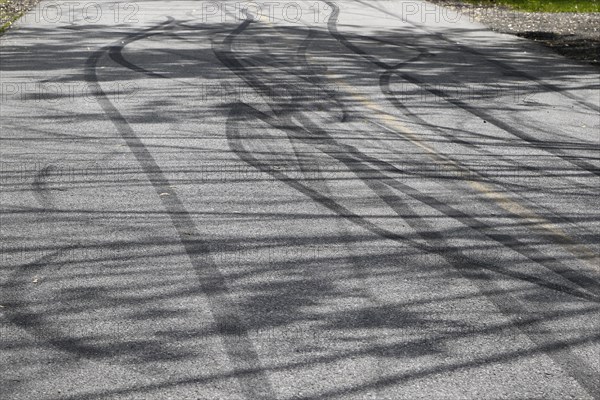 Tire prints on a country road