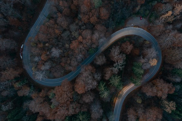Double curve in the forest from above in the evening with slight light pulls
