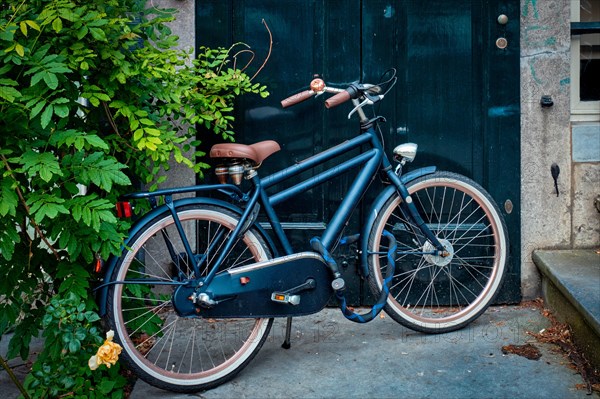 Bicycle near door of old house in Amsterdam street. Bicycles are the very popular means of transport in Netherlands. Amsterdam