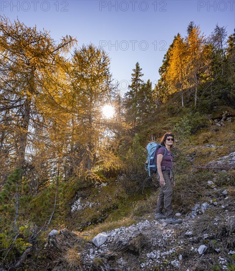 Hikers on a hiking trail