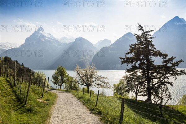 Panorama with lake and mountains