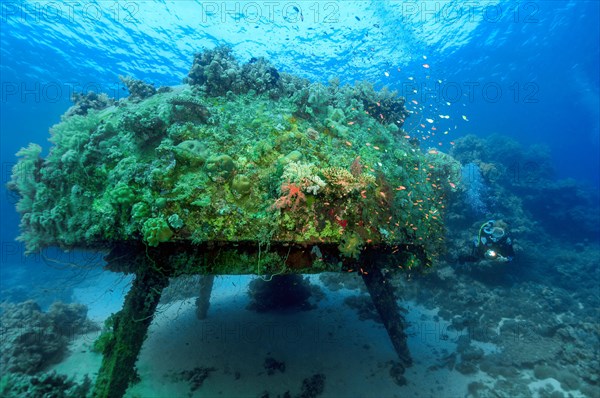 Diver swimming next to Jacques Yves Cousteau's underwater house Precontinent II