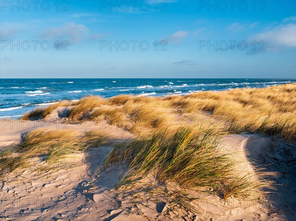 Stuermische Ostsee im Winter