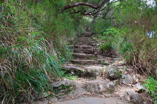 Hiking trail