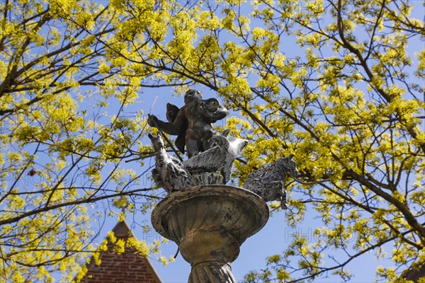 Dolphin fountain on Muensterplatz by Wolfgang Neithard