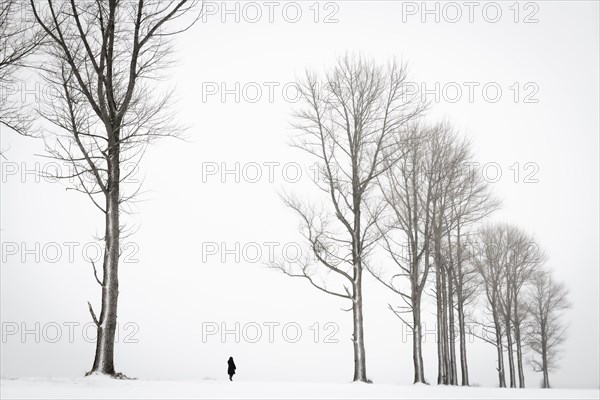 Einsame Frau laeuft in winterlicher Baum Allee