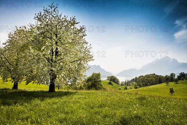 Panorama with lake and mountains