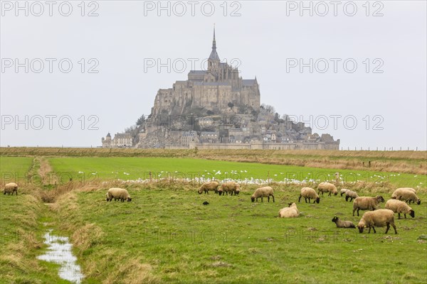 Island Mont Saint-Michel in the bay of Mont-Saint-Michel in the Wadden Sea