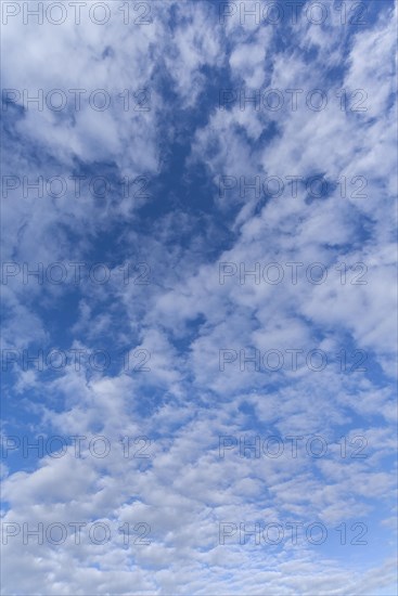 Stratocumulus clouds