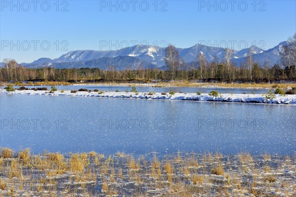 Frozen moor pond with hoarfrost