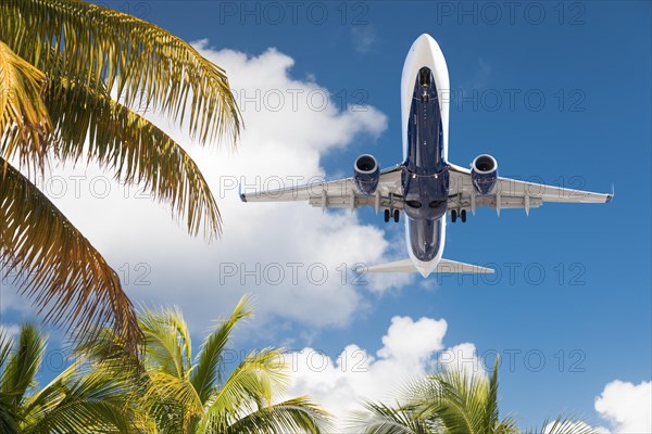 Bottom view of passenger airplane flying over tropical palm trees