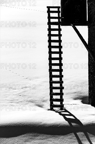 Leiter an Jaegerstand in winterlicher Landschaft