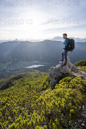 Hiker standing on a rock between mountain pines