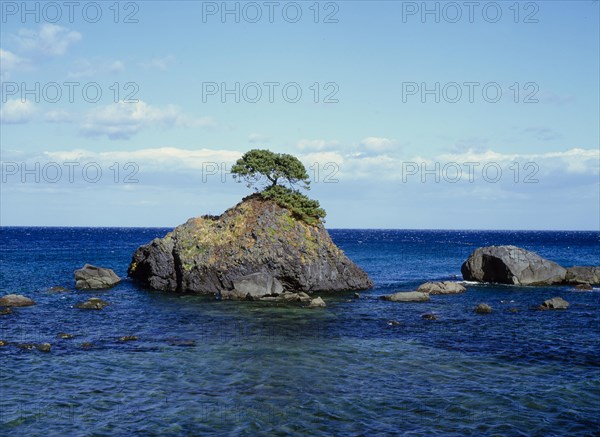 Rocks in the sea with pine Japan Rocks in the sea with pine Japan
