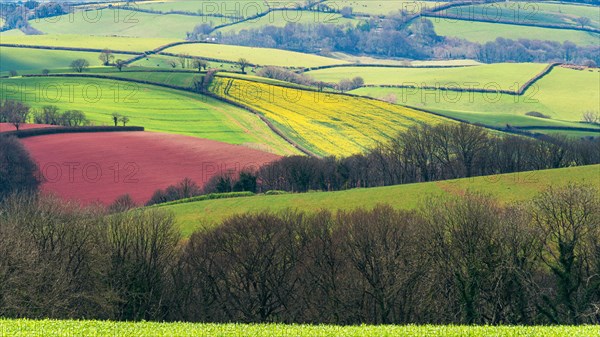 Fields and Meadows over English Village