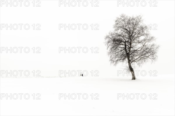 Einsame Frau knieend an Marterl mit Baum in Winterlandschaft