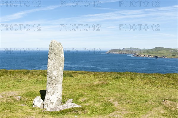 Green Coastal Landscape