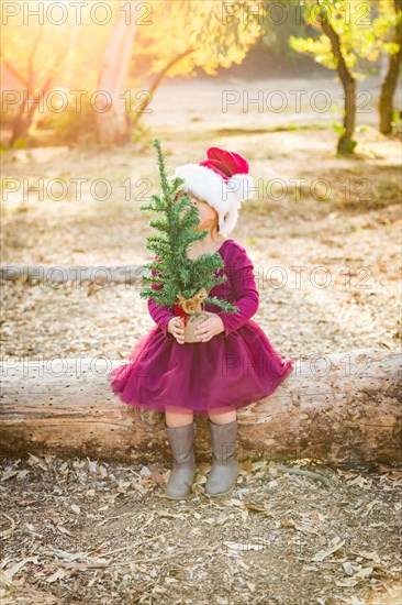 Cute mixed-race young baby girl having fun with santa hat and christmas tree outdoors on log