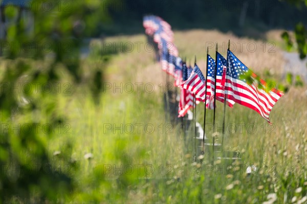 Long row of american flags blowing in wind on fence