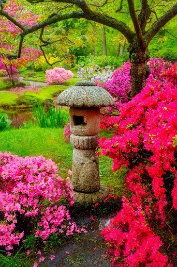 Stone lantern in Japanese garden with blooming flowers