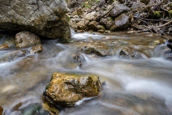 Riverbed on the Frillensee stream along the Bergwald adventure trail