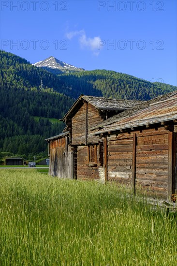 Typical Valais village