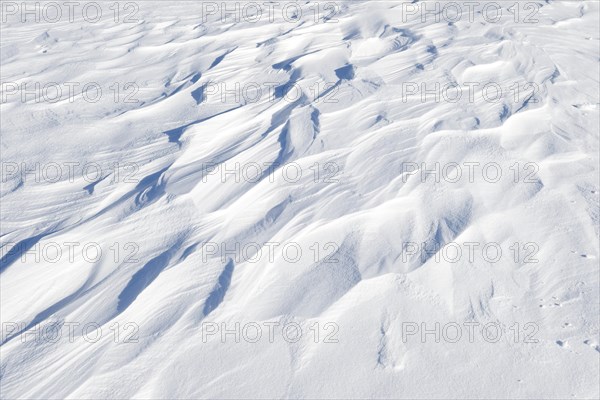 Snowdrift