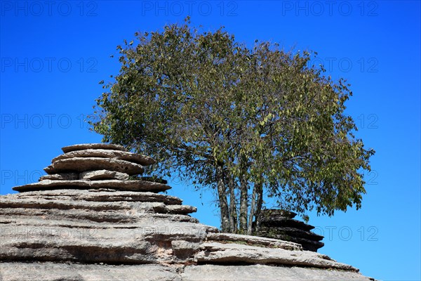 Bizarre rock formations in El Torca National Park