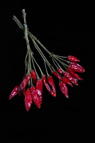 Dried chilli peppers on sweet pepper