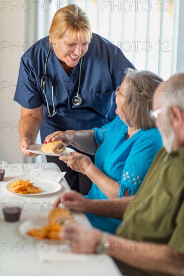 Female doctor or nurse serving senior adult couple sandwiches at table